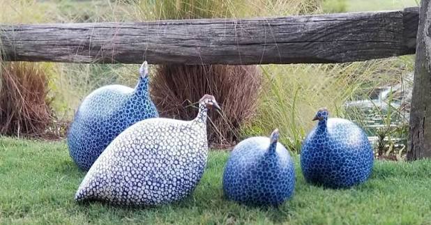 Four handcrafted blue and white ceramic guinea fowl sculptures displayed on a lawn beside a rustic wooden fence. Fearrington Village.