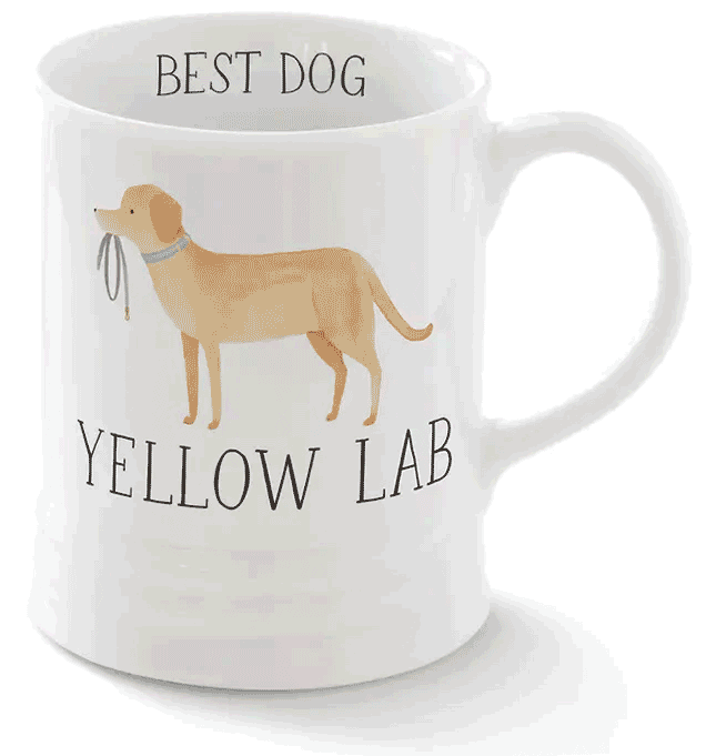 White ceramic mug featuring a watercolor-style illustration of a yellow Labrador retriever carrying a leash. The words “BEST DOG” appear above the dog and “YELLOW LAB” below in black lettering. The mug has a classic shape with a curved handle and a clean white finish, making it a thoughtful gift for Labrador lovers and dog owners.