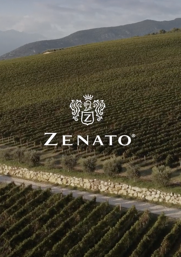Aerial view of a hillside vineyard with neat rows of vines stretching across the landscape, a stone wall and dirt path below, mountains in the distance, and the Zenato logo centered over the scene.