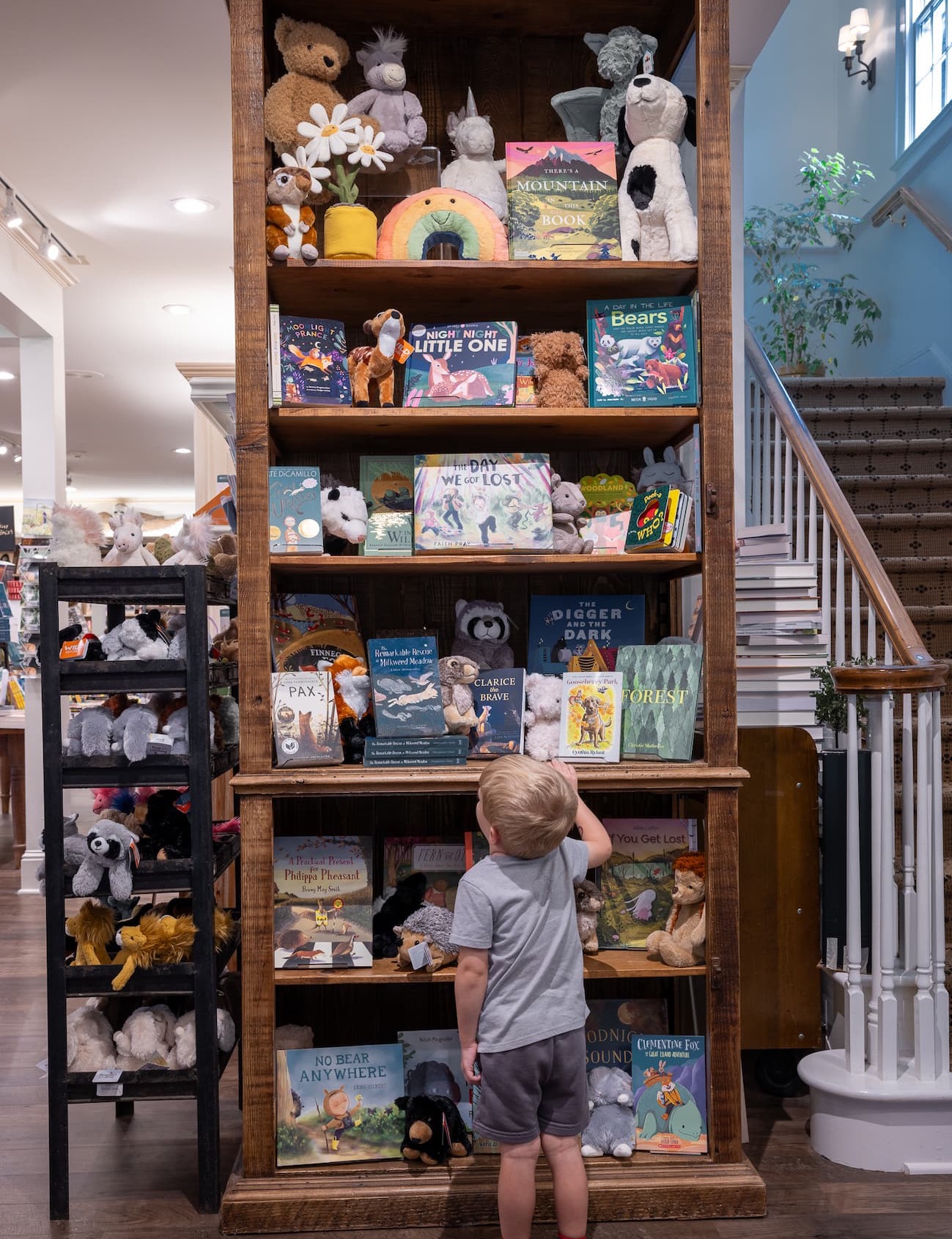 Young child browses a tall bookshelf filled with children's books and plush animals inside McIntyre's Books, reaching up to explore colorful stories in a warm, inviting space.