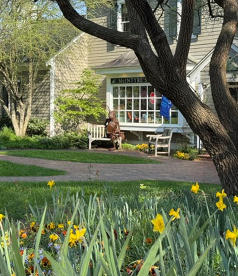 A garden scene in bloom features yellow daffodils in the foreground, with a winding brick path leading to a charming shop building in the background. A person sits on a bench beneath a large tree outside McIntyre’s Books, creating a peaceful, inviting setting.