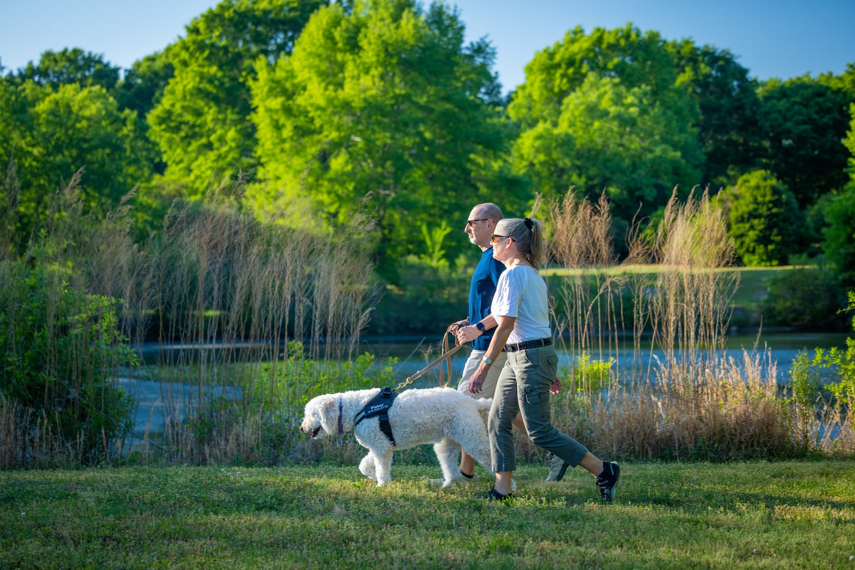 A couple walks their white dog along a grassy path beside a pond, surrounded by lush trees and tall grasses on a sunny day. Fearrington Village.