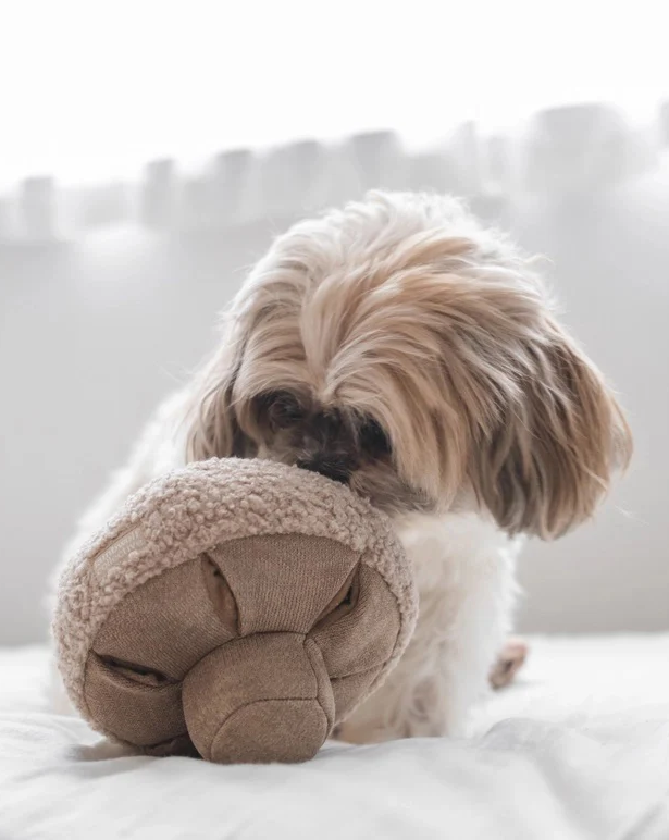 Small fluffy dog on a bed gently chewing a soft, plush toy, with soft neutral tones and a blurred city skyline in the background.