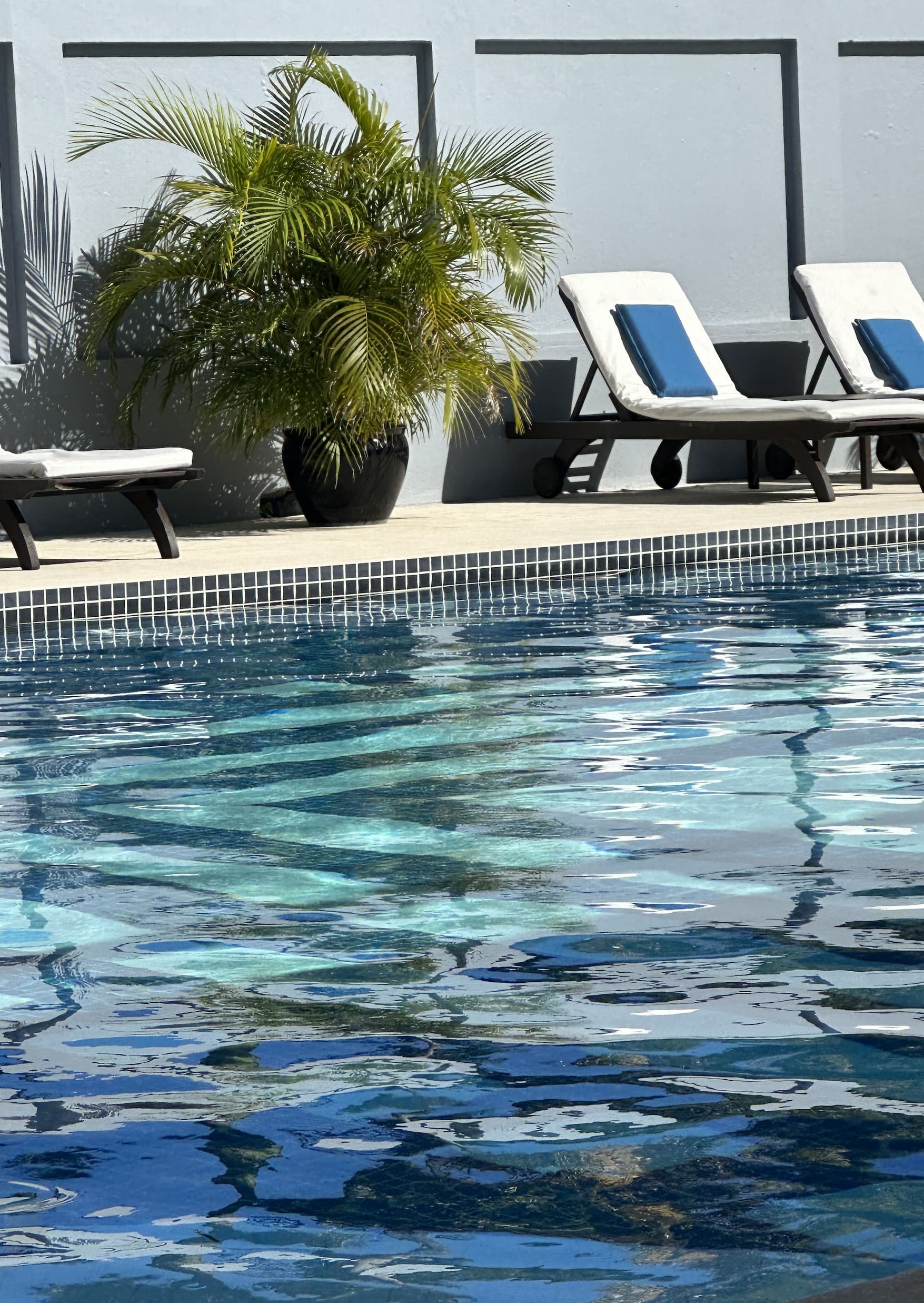 A calm outdoor pool with clear blue water, white lounge chairs with blue cushions, and a potted palm against a light gray wall.