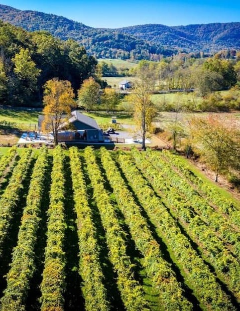 Aerial view of a vineyard with neat rows of grapevines leading toward a small barn and tasting area. Rolling hills and wooded mountains surround the scene, with autumn tones and clear blue skies creating a scenic, pastoral setting.