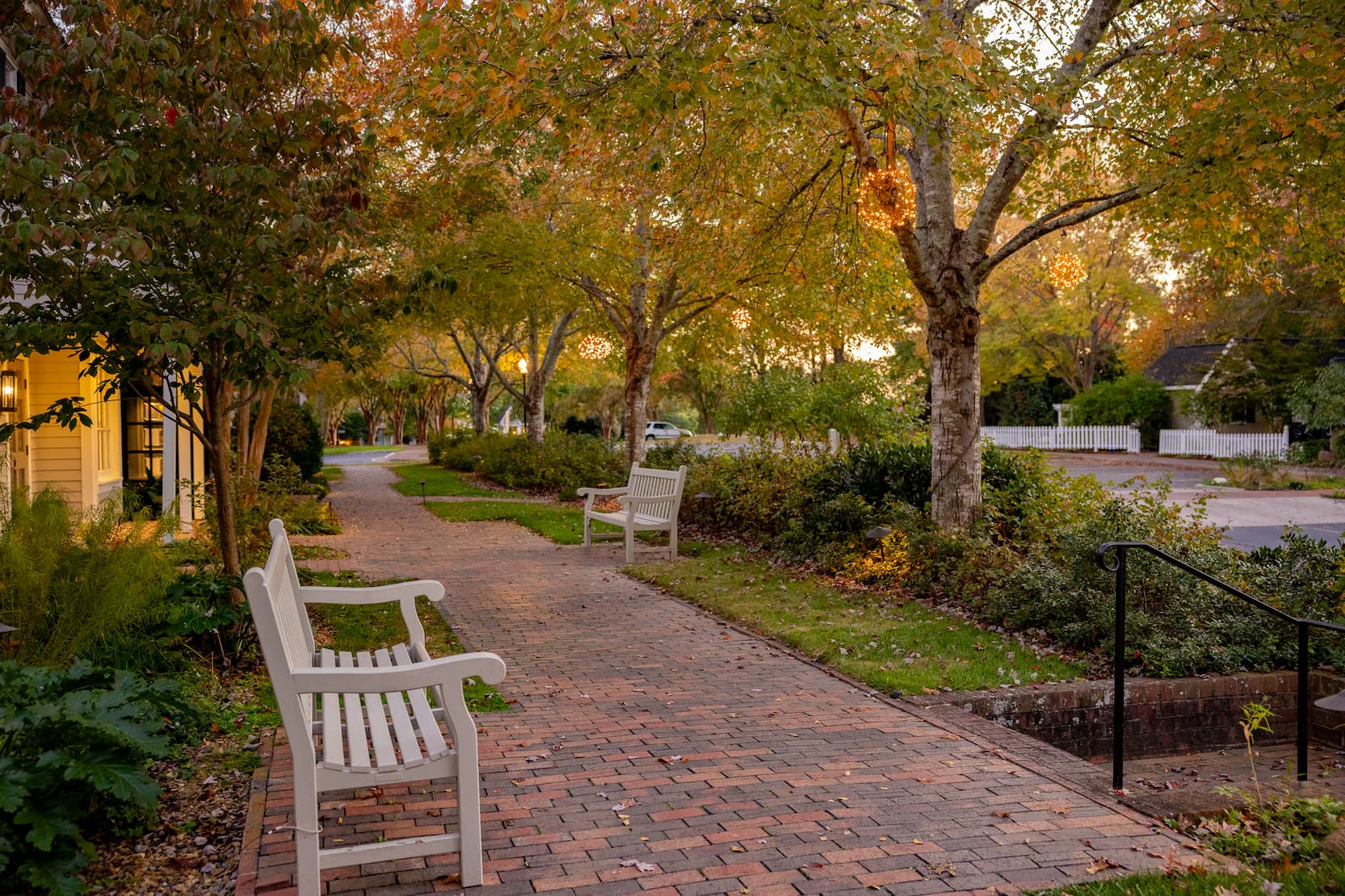 Brick pathway lined with white benches, mature trees, and glowing seasonal lights in autumn at dusk. Fearrington Village.
