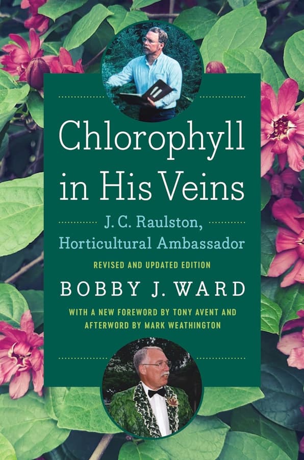 Book cover of Chlorophyll in His Veins: J.C. Raulston, Horticultural Ambassador by Bobby J. Ward. The cover features photographs of J.C. Raulston surrounded by lush green foliage and vibrant pink flowers, with the title displayed prominently on a deep green background. The revised and updated edition includes a foreword by Tony Avent and an afterword by Mark Weathington.
