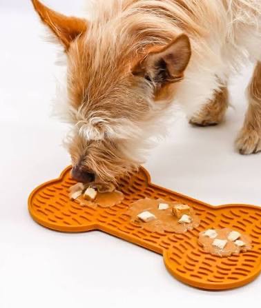 Small dog enjoying treats spread across an orange bone-shaped lick mat. Fearrington Village.