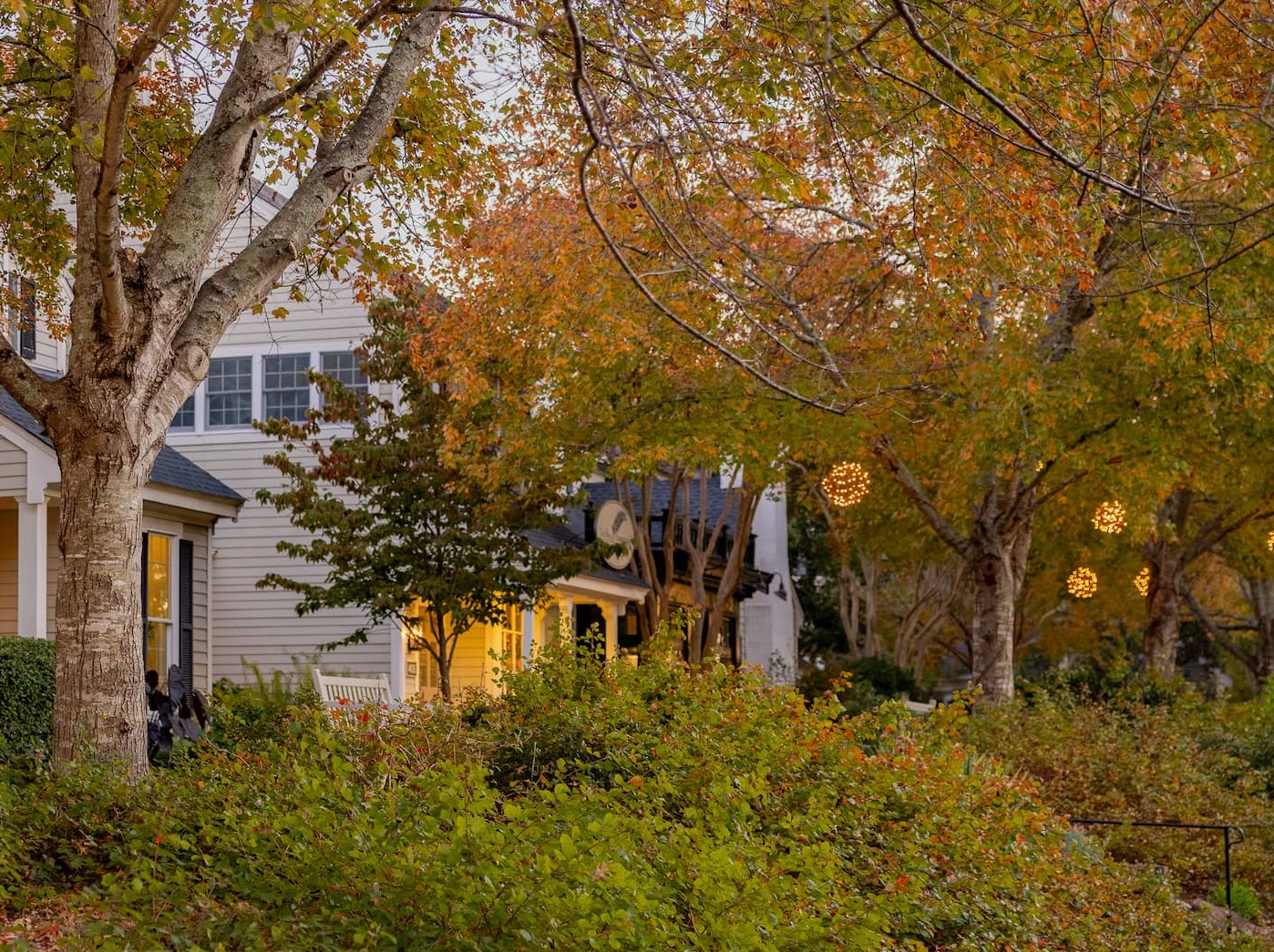 Charming village buildings surrounded by lush gardens and mature trees in autumn foliage, with glowing lights hanging among the branches. Fearrington Village.