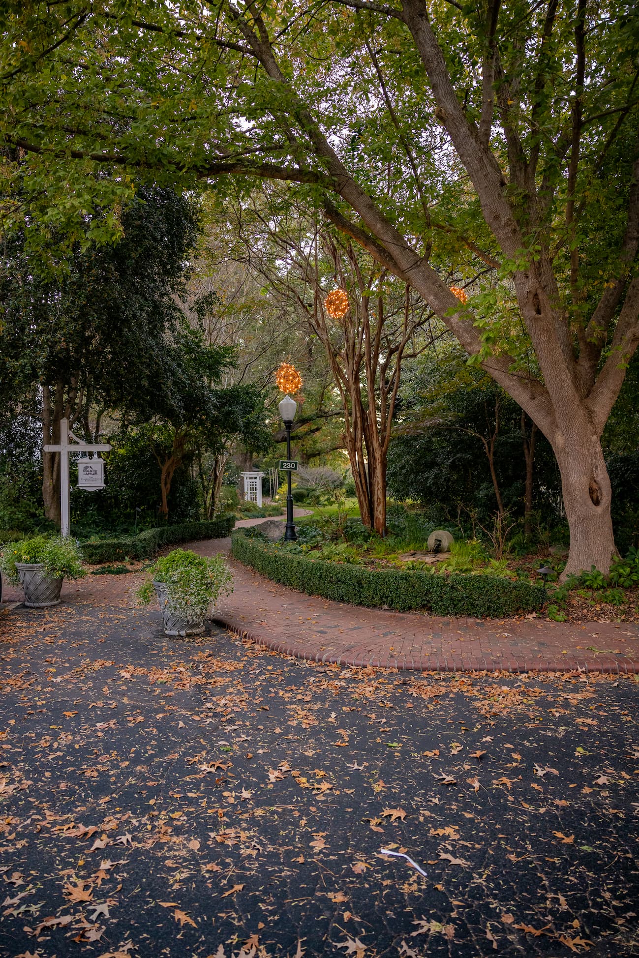 Tree-lined garden path scattered with autumn leaves, framed by manicured hedges and glowing decorative lights. Fearrington Village.