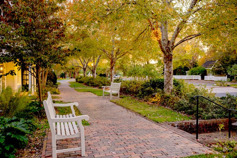 Brick walkway lined with white benches, lush landscaping, and mature trees displaying warm autumn foliage. Fearrington Village.