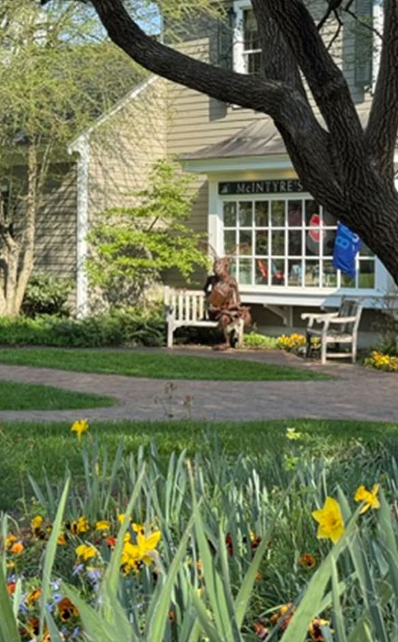 A garden scene in bloom features yellow daffodils in the foreground, with a winding brick path leading to a charming shop building in the background. A person sits on a bench beneath a large tree outside McIntyre’s Books, creating a peaceful, inviting setting.