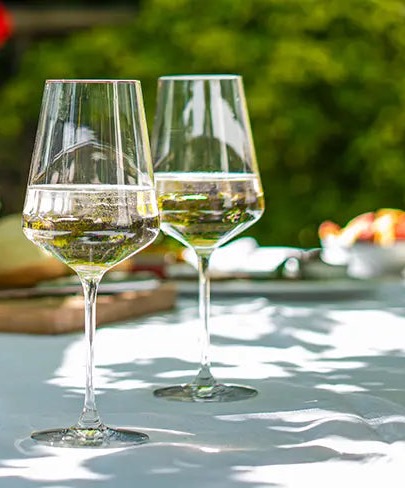 Two stemmed glasses of white wine on a sunlit outdoor table with greenery in the background.