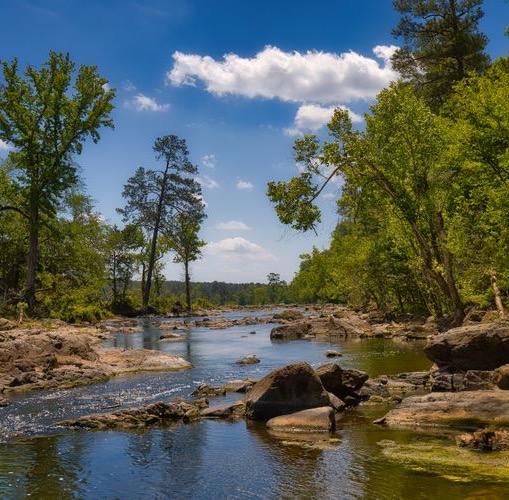 Rocky river flowing through a lush green forest beneath a bright blue sky with scattered clouds. Fearrington Village.
