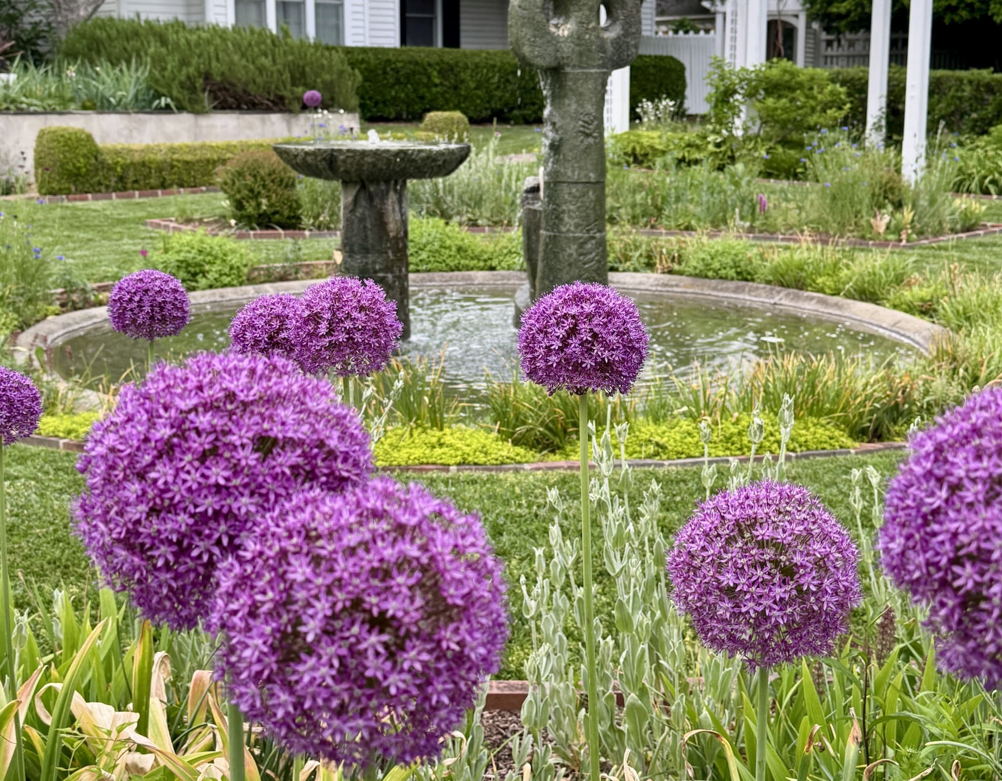 Purple allium blooms rise around a circular garden fountain in a lush, manicured landscape. The vibrant flowers and sculptural water feature create a serene, storybook garden setting.