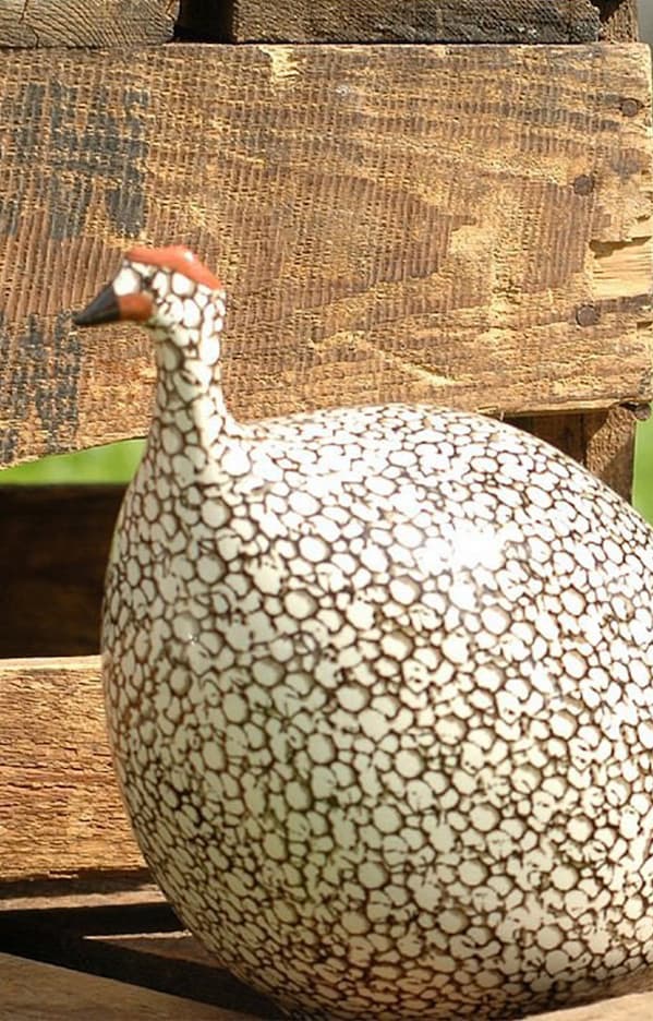 Decorative ceramic guinea fowl sculpture with a white crackle glaze finish. Fearrington Village.