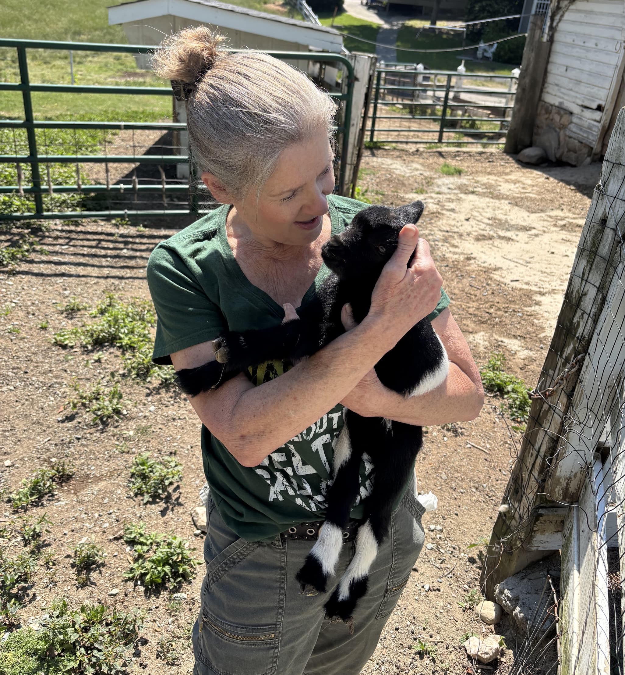 A woman with gray hair pulled into a bun gently cradles a small black-and-white baby goat, smiling down at it in a sunlit farm setting with fencing and outbuildings in the background.