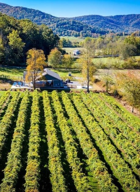 Aerial view of a vineyard with neat rows of grapevines leading toward a small barn and tasting area. Rolling hills and wooded mountains surround the scene, with autumn tones and clear blue skies creating a scenic, pastoral setting.
