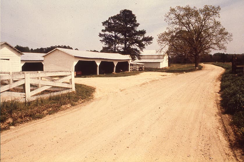Rural farm scene with a pale dirt road curving past white wooden fences and simple barn structures. Open sheds and outbuildings sit beneath tall trees, with grassy edges and a quiet, pastoral landscape stretching into the distance.