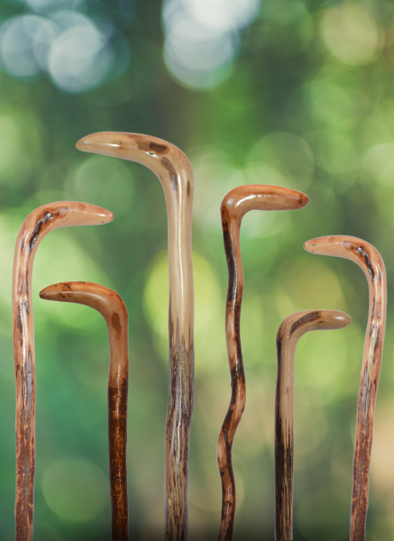 A group of wooden walking canes with curved handles stands upright against a softly blurred green background, highlighting their varied shapes, natural wood grain, and warm tones.