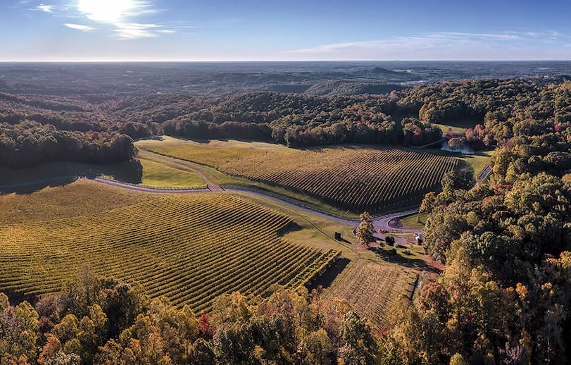 Aerial view of rolling vineyards and surrounding woodlands in the North Carolina countryside. Fearrington Village.