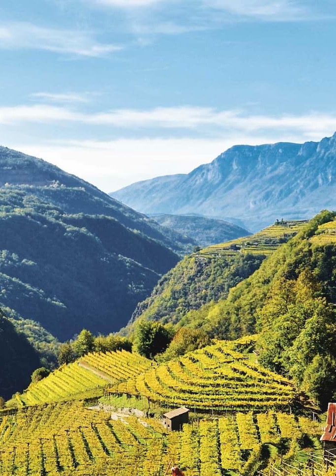 Sweeping mountain vistas, terraced vineyards, and generations of winemaking tradition come together in one remarkable landscape. Nestled among steep hillsides and sun-drenched slopes, these vineyards produce wines of exceptional character, shaped by dramatic elevation, mineral-rich soils, and a deep connection to place. The result is a collection of wines that capture both the beauty and the spirit of their alpine surroundings.