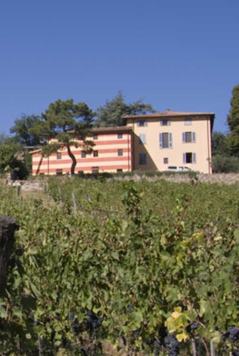 Italian farmhouse with warm yellow and terracotta walls overlooking rows of grapevines in a vineyard under a clear blue sky.