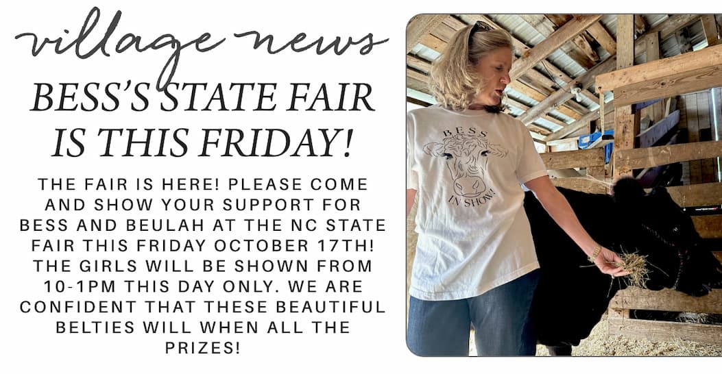 Woman in a barn feeds a cow hay while wearing a "Bess in Show" t-shirt. Text announces the NC State Fair on Friday, October 17th, where cows Bess and Beulah will be shown from 10am-1pm. Fearrington Village