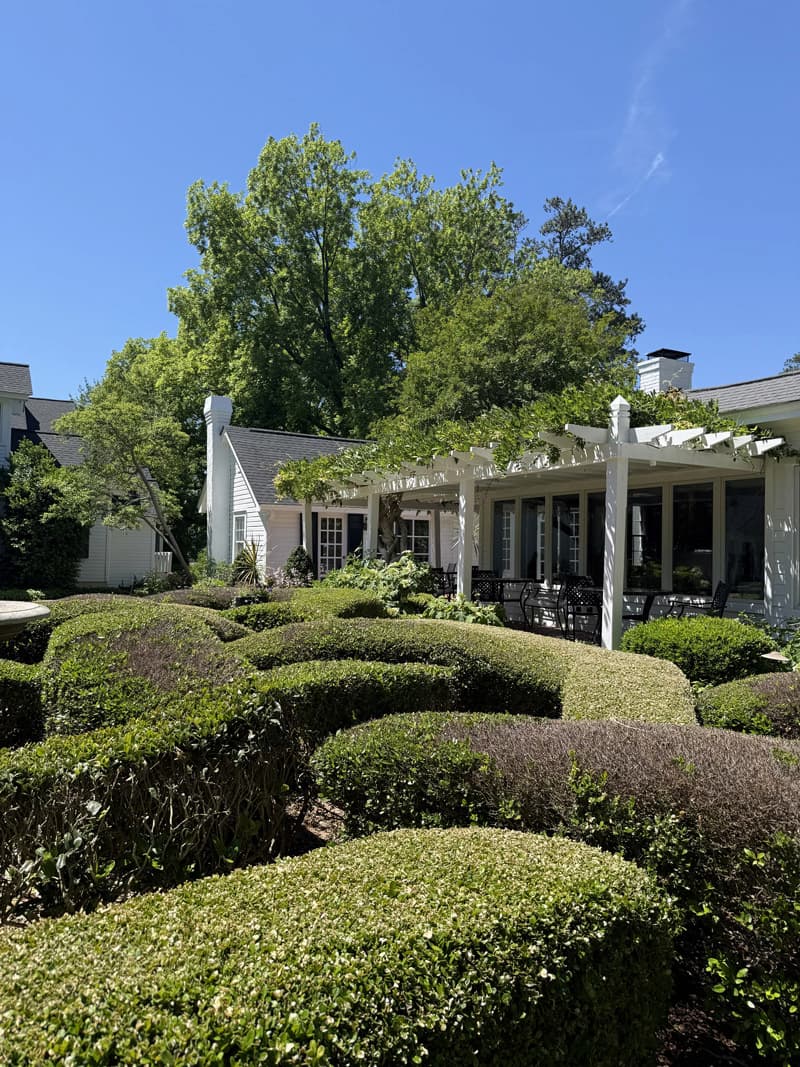 Sunlit garden courtyard with sculpted boxwood hedges leading to white cottage-style buildings, where a pergola draped in greenery shades an outdoor seating area beneath tall trees and a clear blue sky.