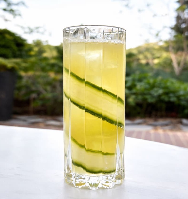 Tall glass of a pale yellow beverage with thin, ribboned cucumber slices spiraling inside. Lightly effervescent with a few bubbles at the top, set outdoors against a soft-focus garden backdrop.