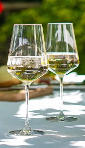 two glasses of white wine on a sun dappled table