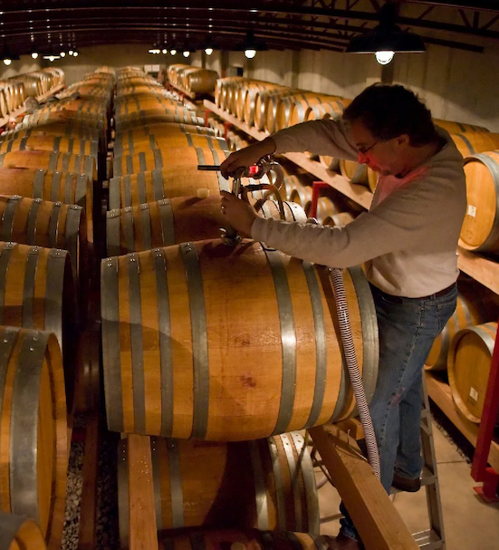 Winemaker drawing wine from an oak barrel in a cellar lined with rows of aging barrels under warm cellar lighting.