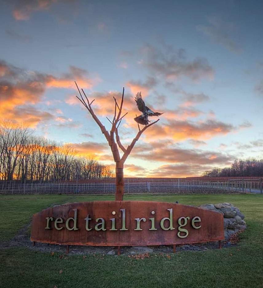 Entrance sign reading “red tail ridge” mounted on a curved stone base, with a metal tree sculpture and hawk figure above it, set in a grassy field at sunset with colorful clouds in the sky.