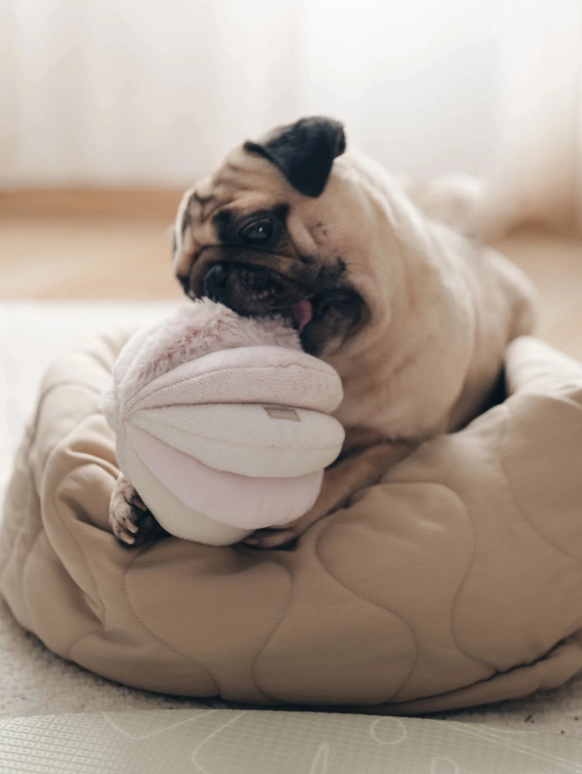 Close-up of a SkinCeuticals Advanced RGN-6 serum bottle with a pump, shown against a light background with a swipe of cream on a glass dish behind it.