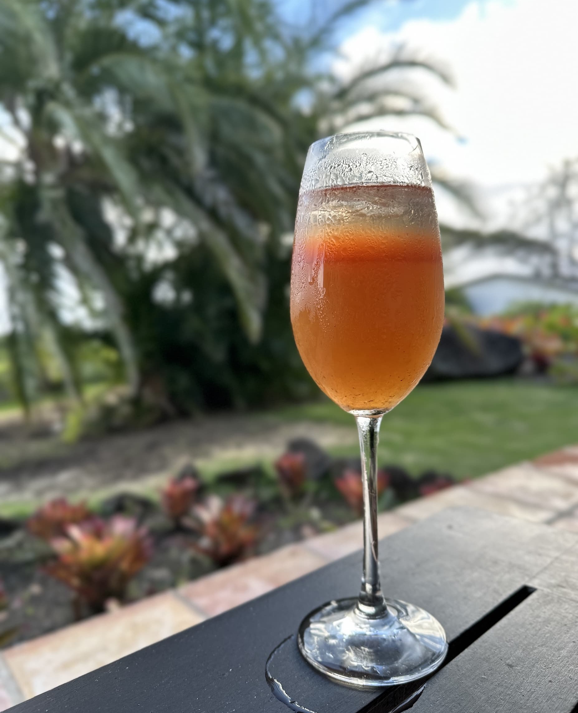 A chilled orange cocktail in a champagne flute on a table, with palm trees and garden plants blurred in the background.