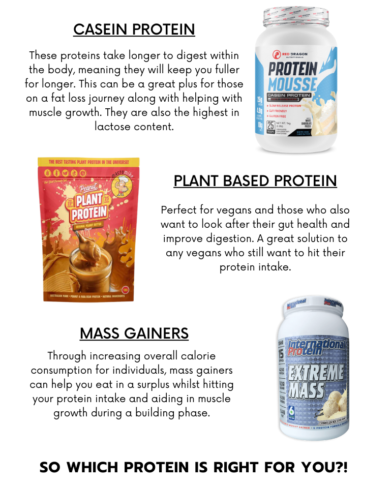 Which protein should you be taking 🤔 Nutrition Capital AU