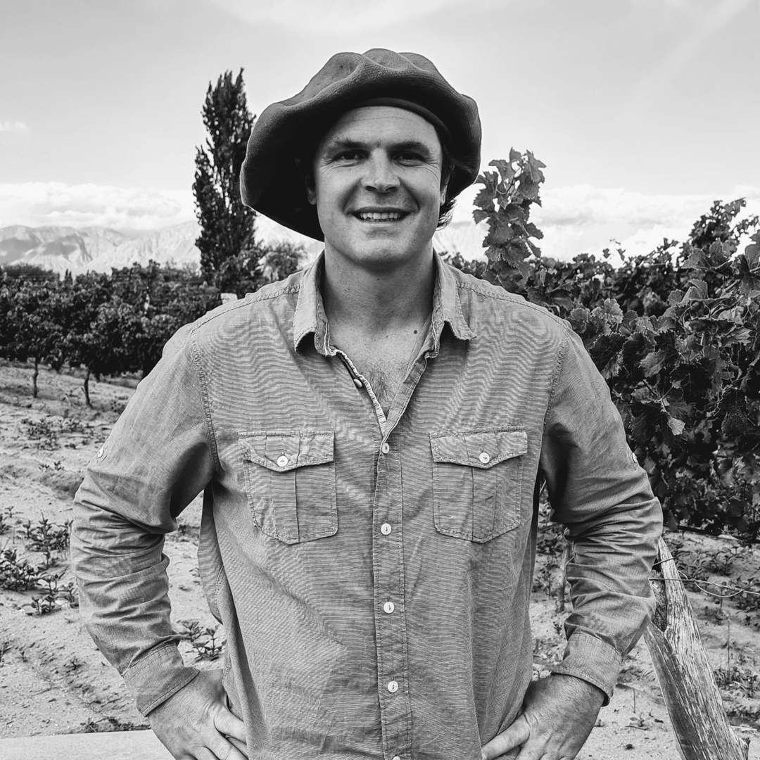 Agustín Lanús in the vineyard