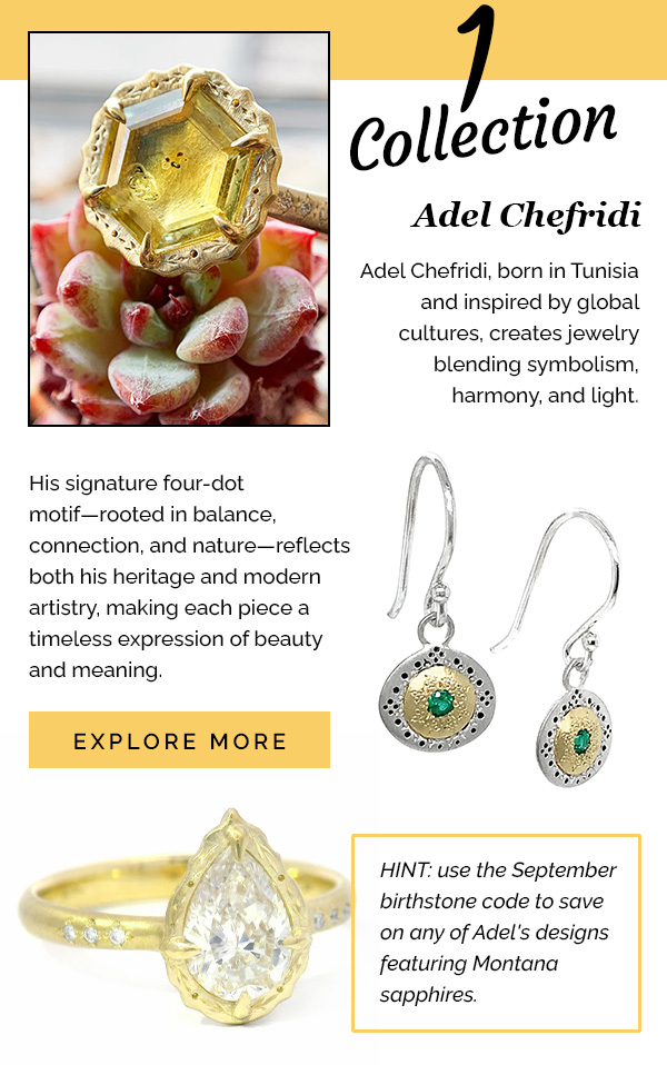 1 Collection | Adel Chefridi