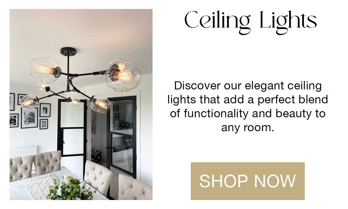 Ceiling Lights