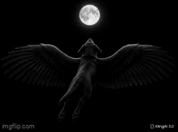 FLY TO THE MOON
