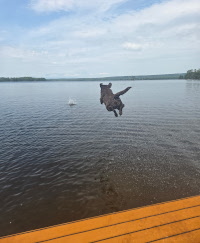 MIGHT AS WELL JUMP