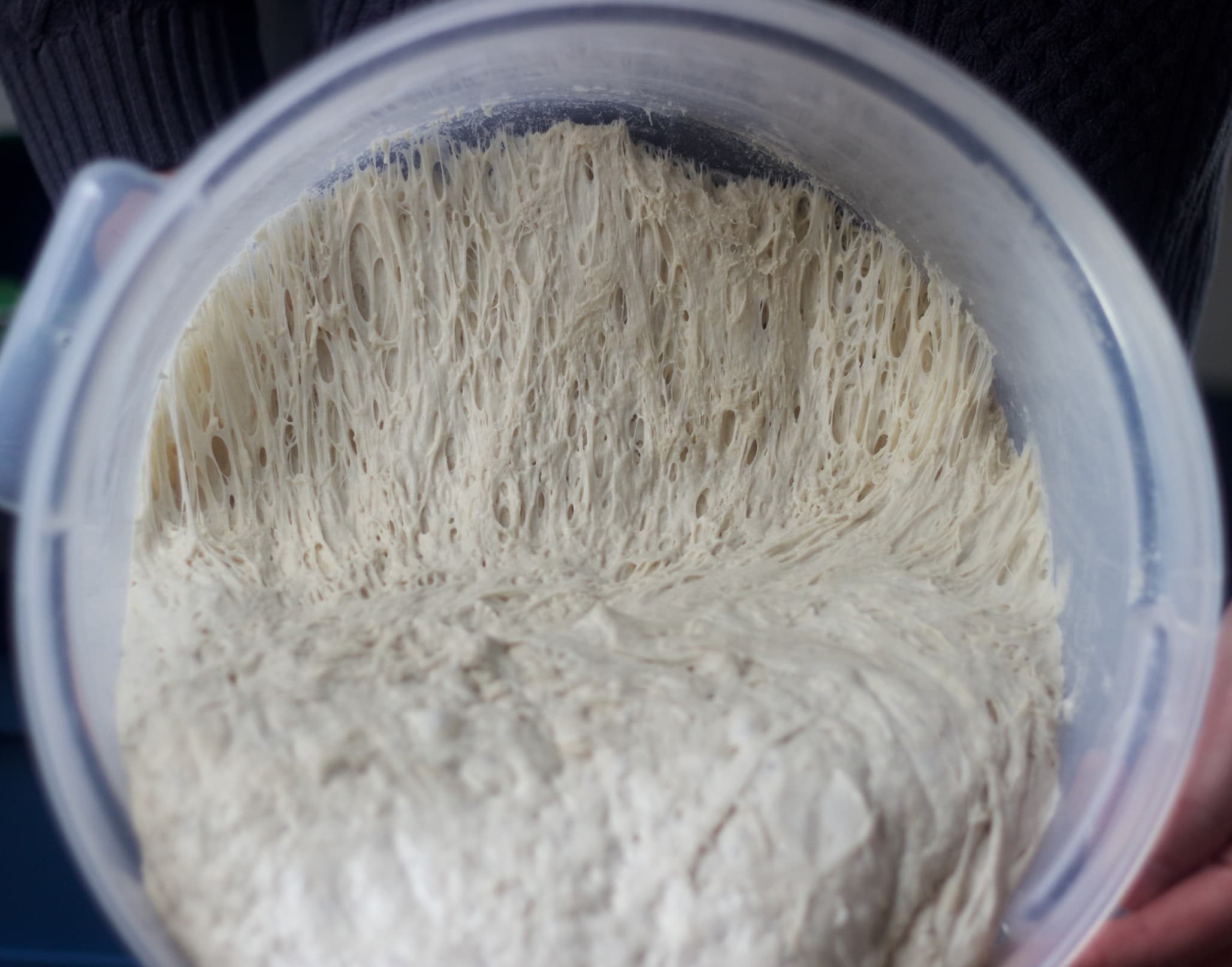 72 hour pizza dough after it's been kneaded sitting on a wood table top.