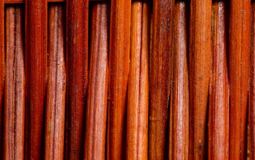 Biotech Core — macro fibre