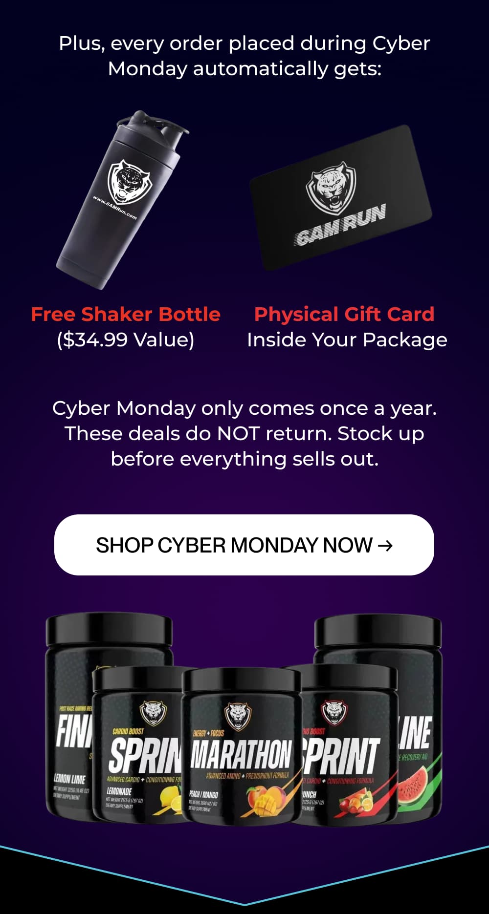 Plus, every order placed during Cyber Monday automatically gets: