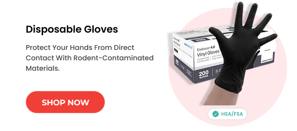 Shop Disposable Gloves  >>