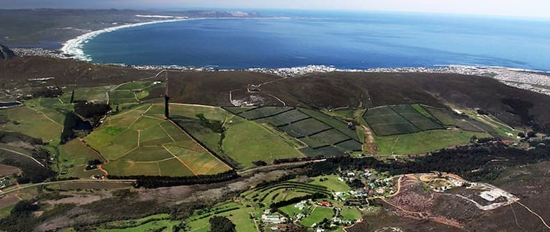 Hamilton Russell Vineyards, Hemel-en-Aarde Valley
