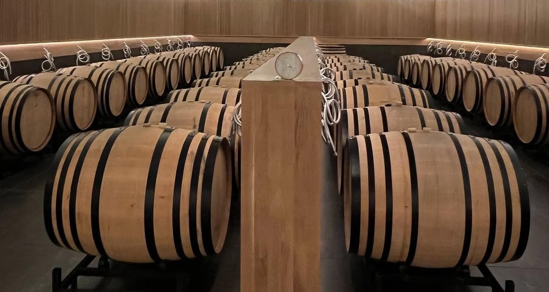 Rafael Palacios barrel cellar