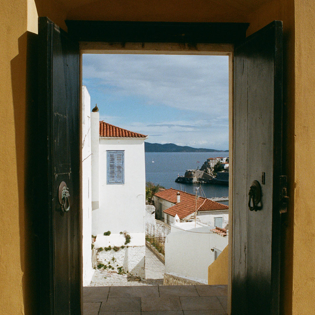 Hydra