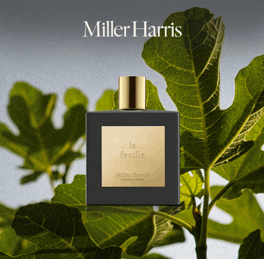 Fragrance Forecast