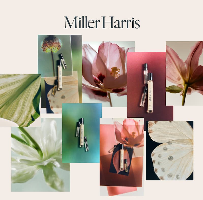 Layering Editions